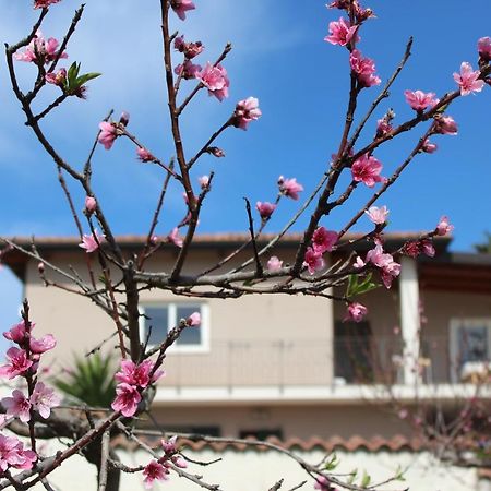 Bed and Breakfast Residenza Anna Calabria Briatico Exterior foto